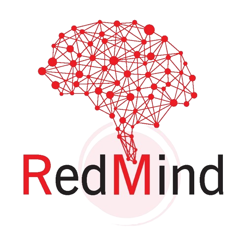 RedMind Technologies: Software Products and Services