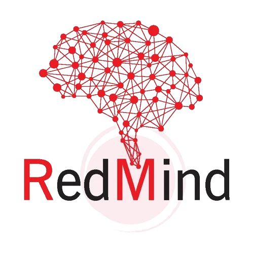 RedMind Technologies: Software Products and Services